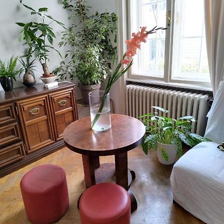 Monica'S House Vandrerhjem Beograd Eksteriør bilde