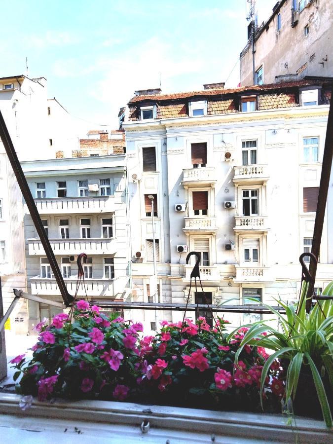 Monica'S House Vandrerhjem Beograd Eksteriør bilde