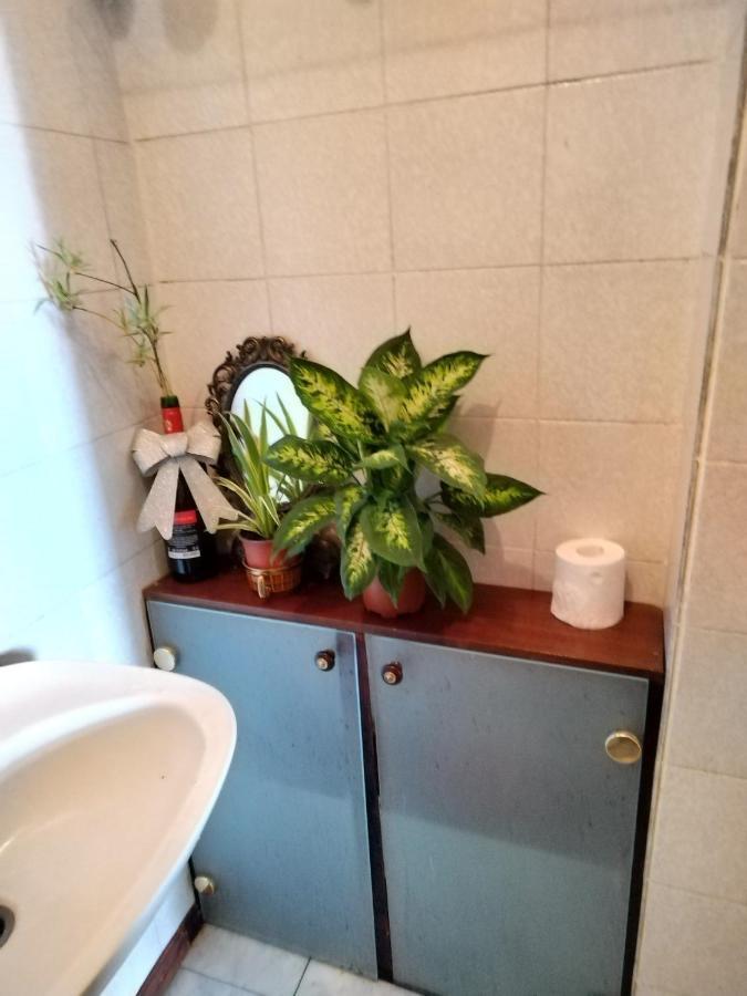Monica'S House Vandrerhjem Beograd Eksteriør bilde